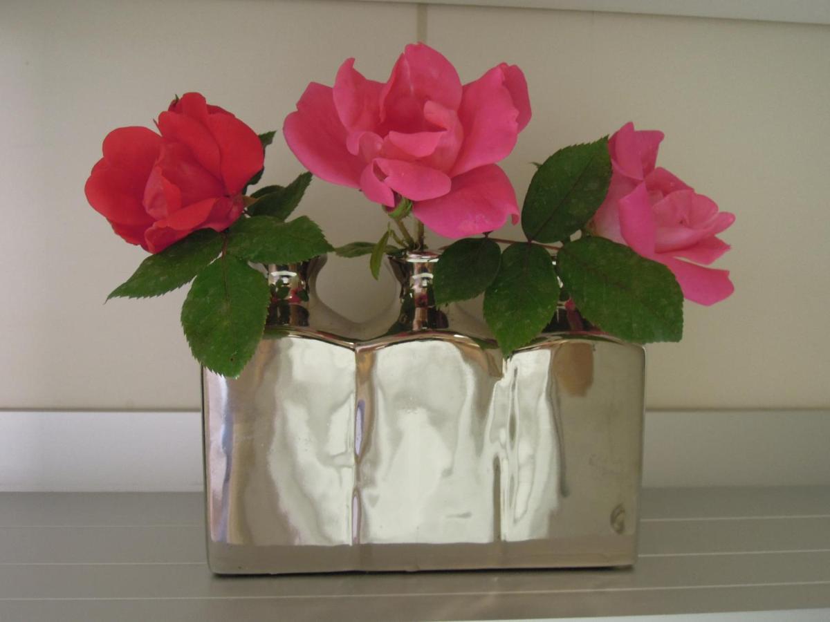 אומאג Stella Maris Appartement מראה חיצוני תמונה